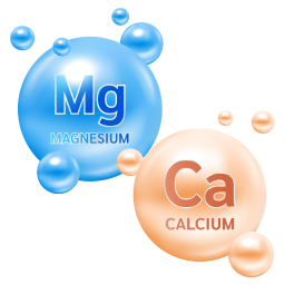 Clinica Dental Rocio Mompó